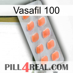 Vasafil 100 26